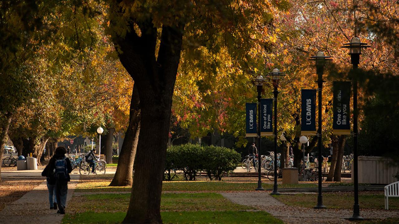 UC Davis campus